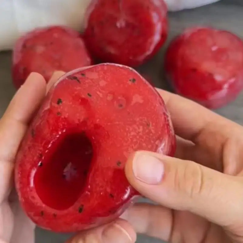 Watermelon Slow Rise Squishy